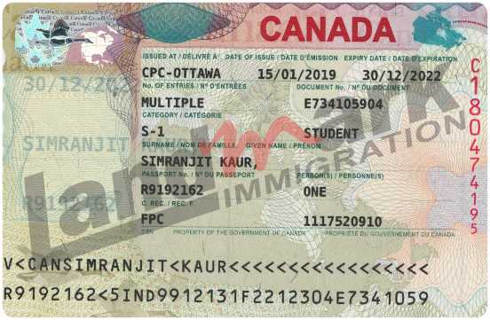 Visa 100
