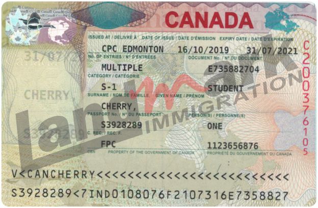Visa 12