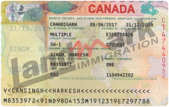 Visa 175
