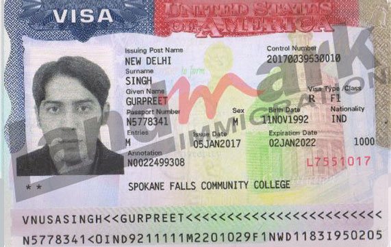 Visa 176