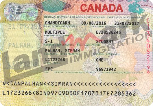 Visa 184