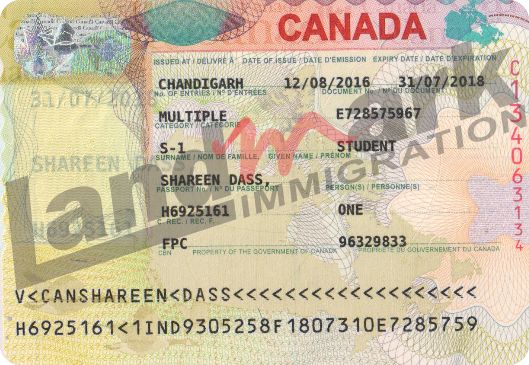 Visa 195