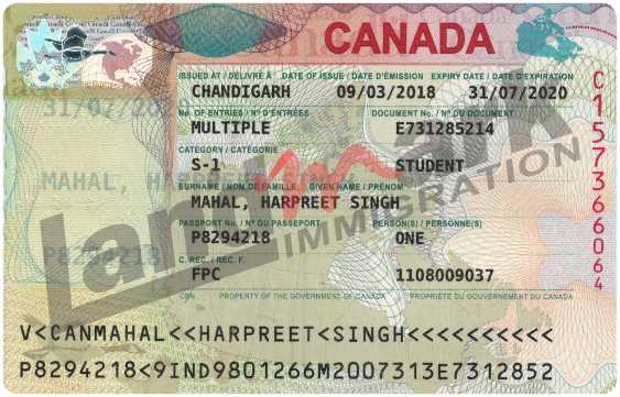 Visa 196