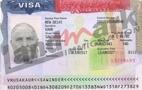 Visa 199