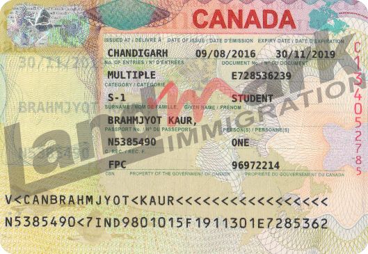 Visa 202
