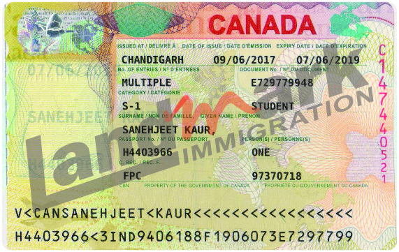 Visa 206