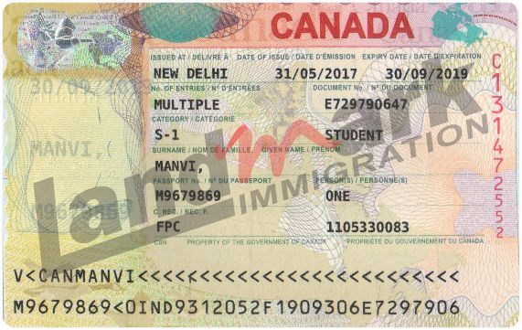 Visa 207