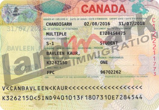 Visa 209