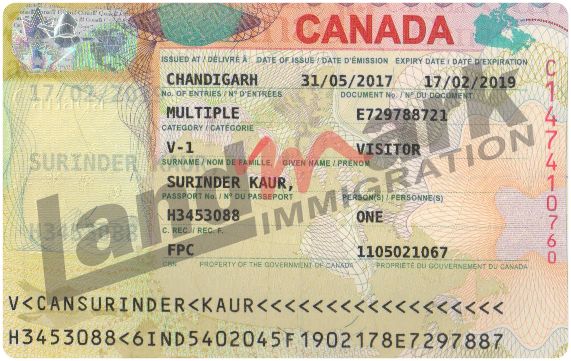 Visa 213