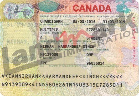 Visa 225