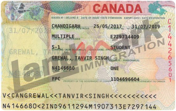 Visa 229