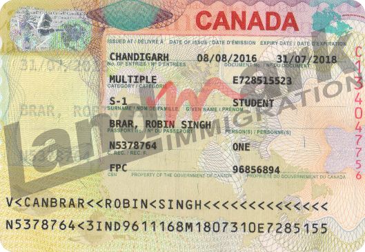 Visa 231