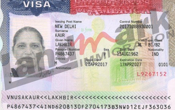 Visa 238