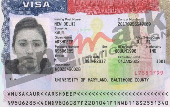 Visa 247