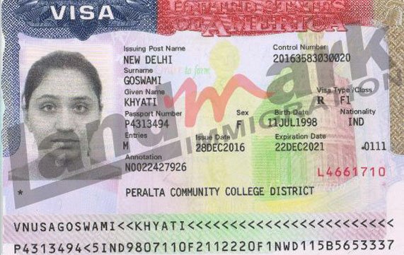 Visa 253