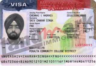 Visa 287