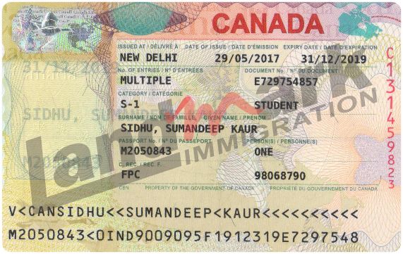Visa 290
