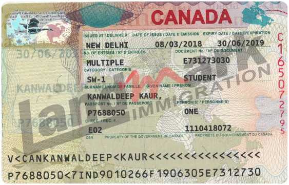 Visa 291