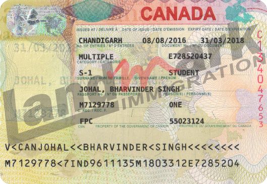 Visa 299