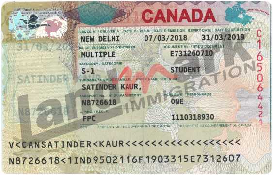 Visa 300