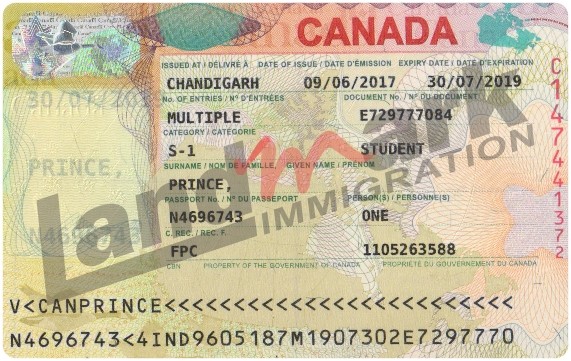 Visa 301