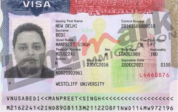 Visa 302