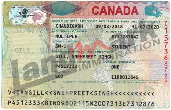 Visa 303