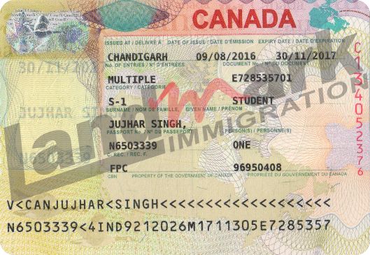 Visa 305