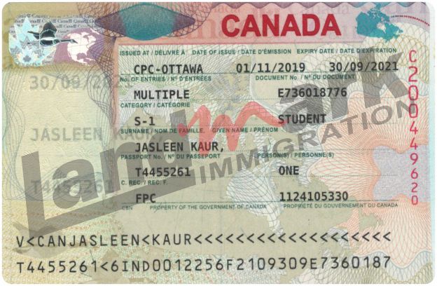 Visa 31