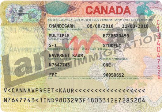Visa 310