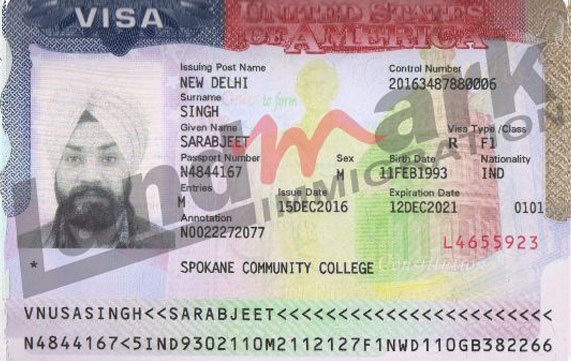 Visa 313