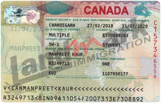 Visa 317