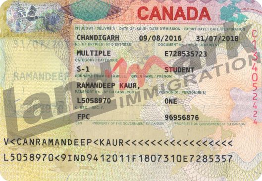 Visa 318