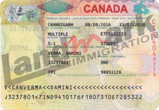 Visa 319
