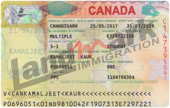 Visa 325