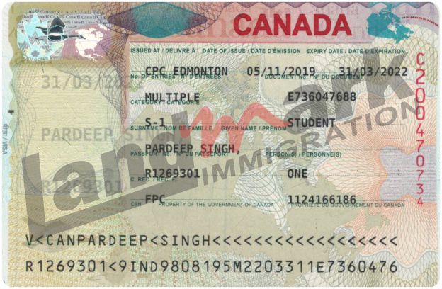 Visa 50