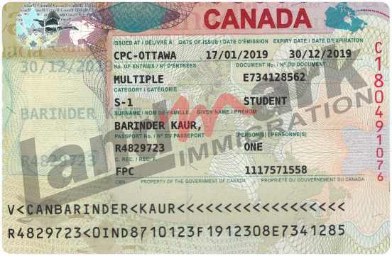 Visa 81