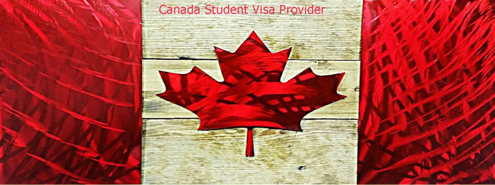 New opportunity to study in Canada-Jan. 2020.