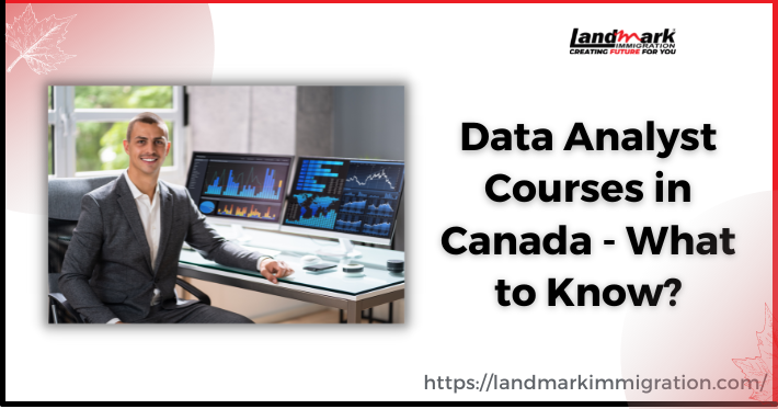 Data Analyst Courses in Canada – What to Know?