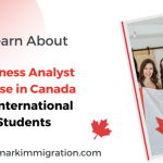 Business Analyst Course in Canada for International Students
