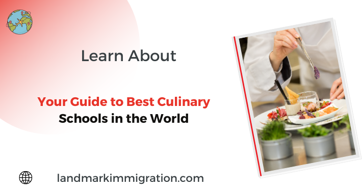 Your Guide to Best Culinary Schools in the World
