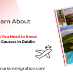 Everything You Need to Know about Art Courses in Dublin