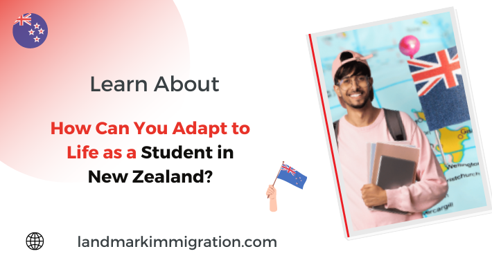 How Can You Adapt to Life as a Student in New Zealand