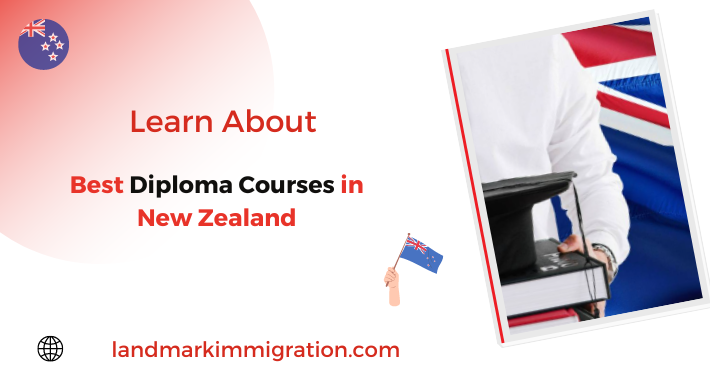 Best Diploma Courses in New Zealand